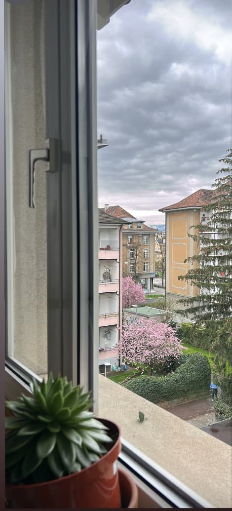 Helle schöne 2,5 Zi Whg( teilweise Mitnutzung eines Zimmers)