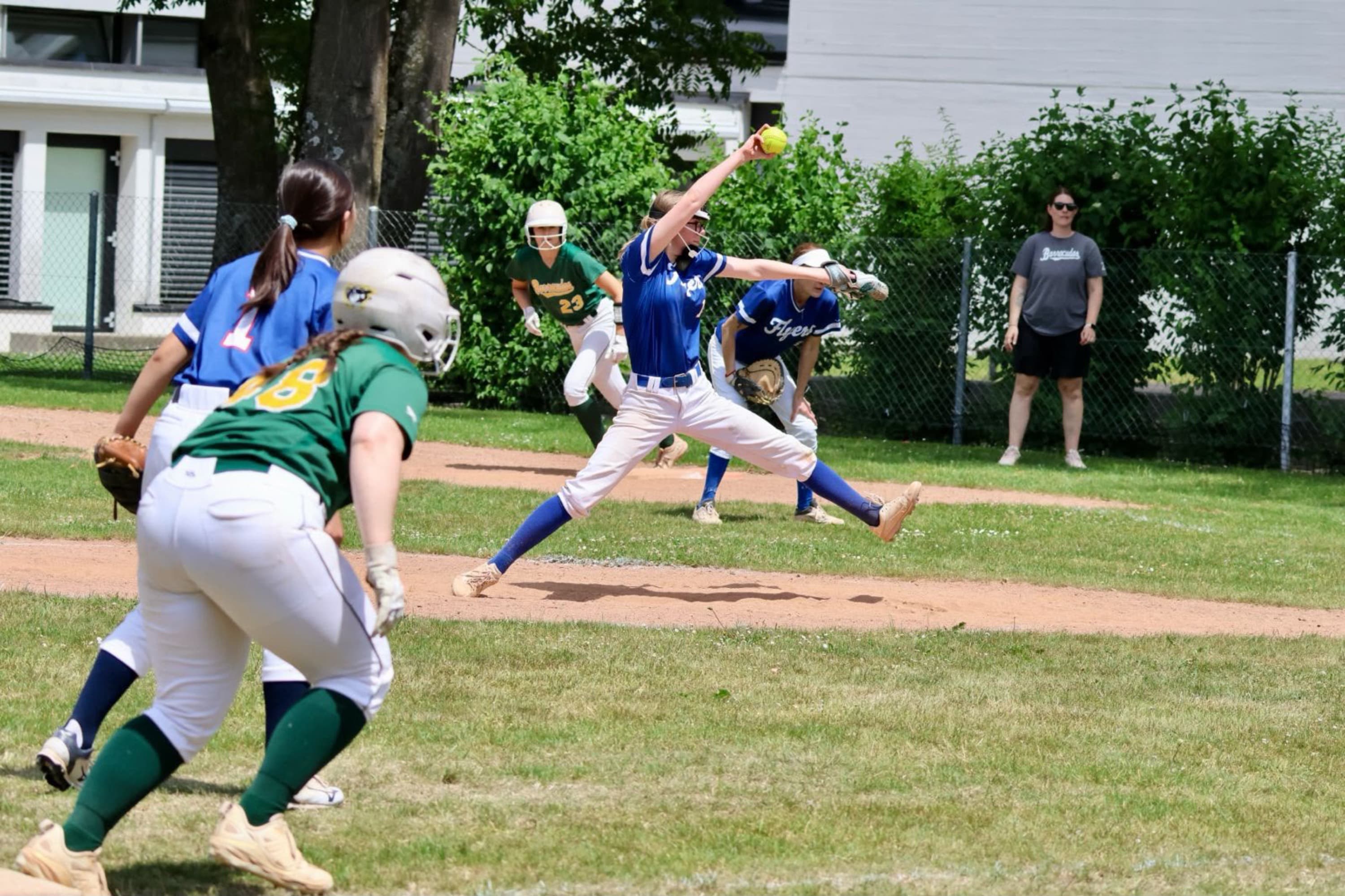 Neue Softball-Spieler*innen gesucht (mit oder ohne Erfahrung)