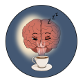 Einfluss von Koffein und Schlaf bei Jugendlichen